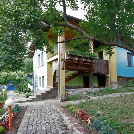 Chuchi Guest House 1 Zlatna Panega Exterior foto