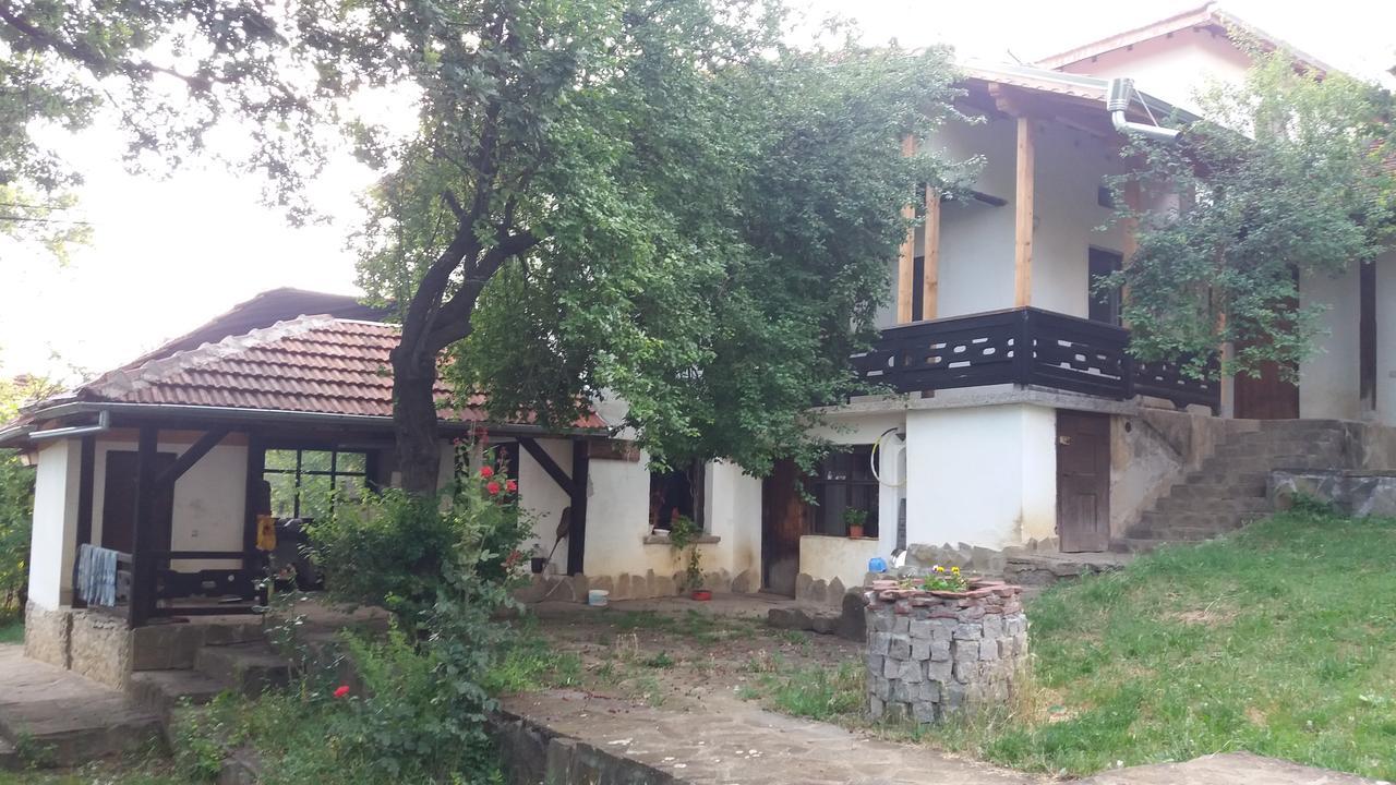 Chuchi Guest House 1 Zlatna Panega Exterior foto
