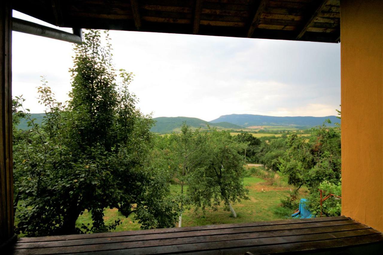 Chuchi Guest House 1 Zlatna Panega Exterior foto